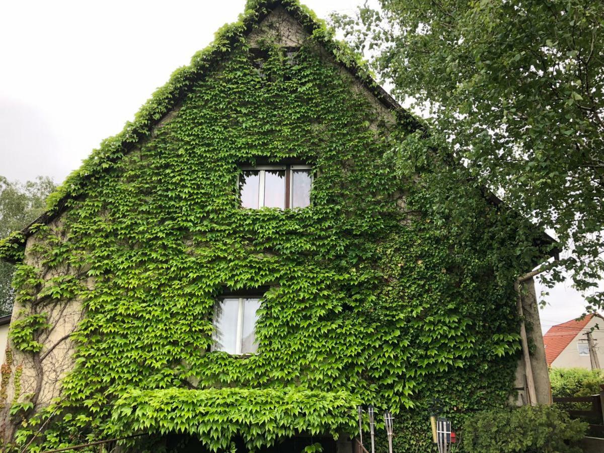 Veranda Apartman Nyíregyháza Exterior foto