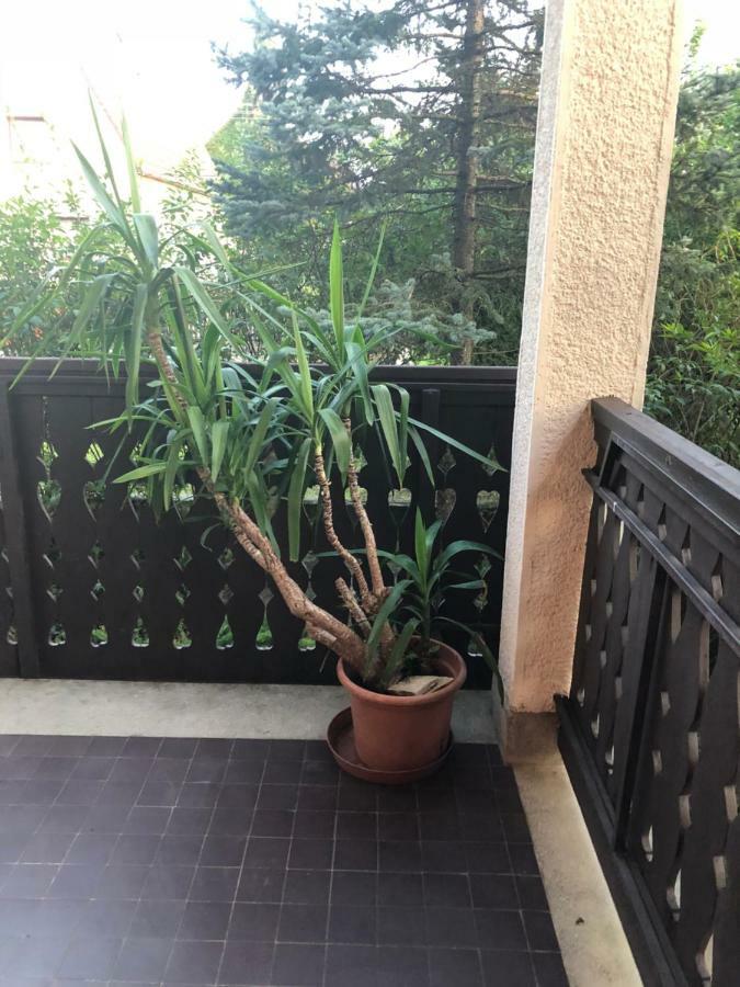 Veranda Apartman Nyíregyháza Exterior foto