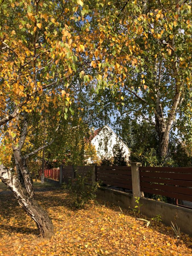 Veranda Apartman Nyíregyháza Exterior foto